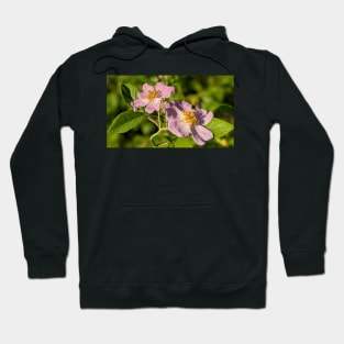 Pink Flowers in Field 2 Hoodie